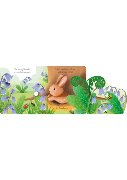 Little Lift and Look Baby Bunny - Anna Milbourne fırsatları