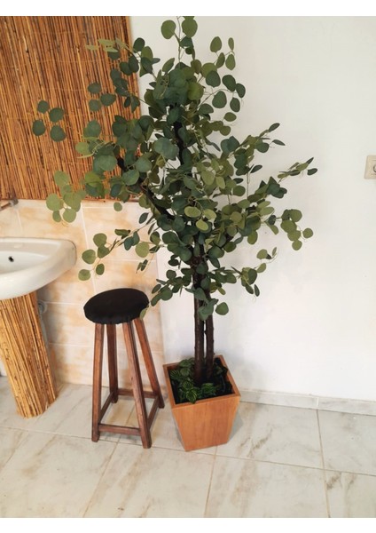 Yapay Okaliptüs Ağacı 1.65 mt Boy Okaliptüs Ahşap Saksıda Avustralya Okaliptüs Çiçek