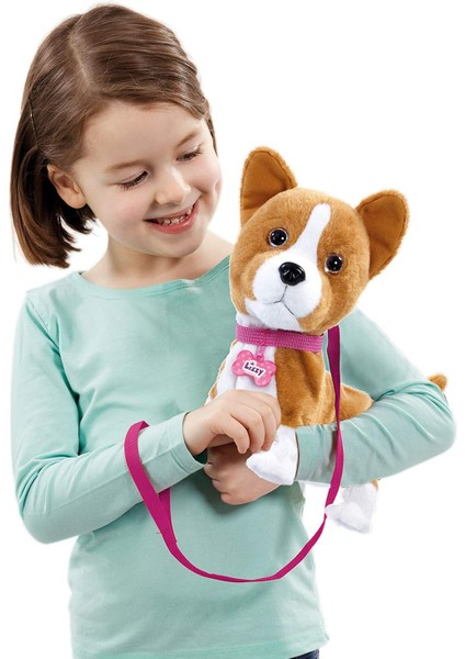 Yürüyen Corgi Köpeğim Lizzy 256519