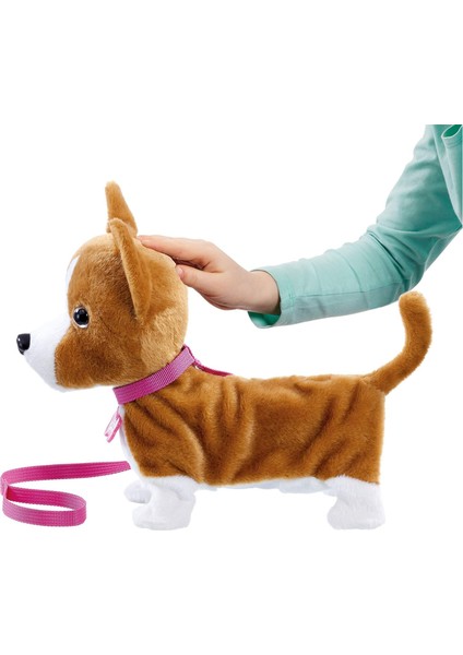 Yürüyen Corgi Köpeğim Lizzy 256519