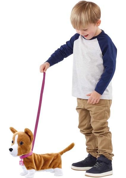 Yürüyen Corgi Köpeğim Lizzy 256519