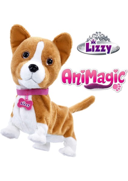 Yürüyen Corgi Köpeğim Lizzy 256519