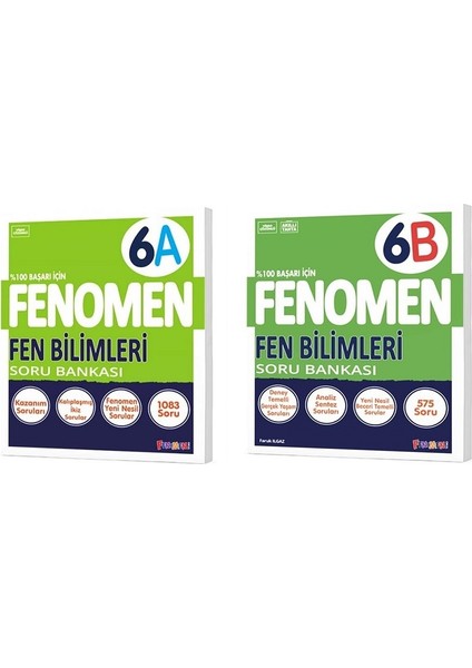 Okul 2025 6. Sınıf Fen Bilimleri A + B Serisi Soru Seti 2 Kitap