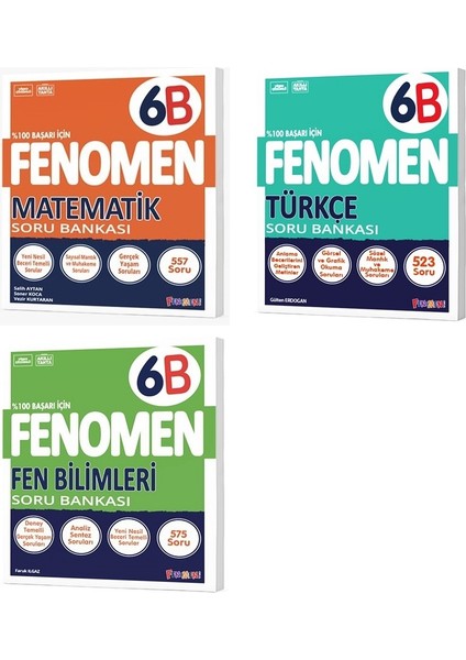 Okul 2025 6. Sınıf Matematik + Türkçe + Fen B Serisi Soru Seti 3 Kitap