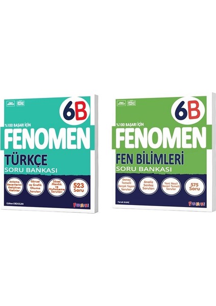 Okul 2025 6. Sınıf Türkçe + Fen Bilimleri B Serisi Soru Seti 2 Kitap