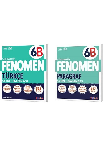 Okul 2025 6. Sınıf Türkçe + Paragraf B Serisi Soru Seti 2 Kitap