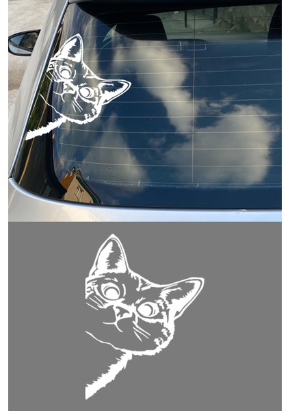 Yatık Güzel Kedi Oto Araba Cam Sticker Çıkartma Bilgisayarlar,kamyonlar, Motosikletler Için