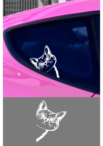 Yatık Güzel Kedi Oto Araba Cam Sticker Çıkartma Bilgisayarlar,kamyonlar, Motosikletler Için fiyatları