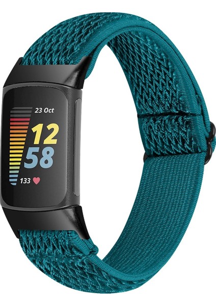 Fitbit Charge 6 Elastik Naylon Örgü Watch Kordon