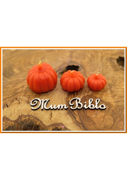 Mum Balkabağı Set2