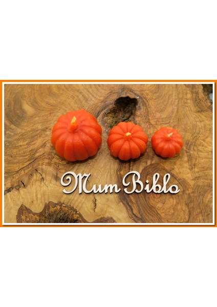 Mum Balkabağı Set2