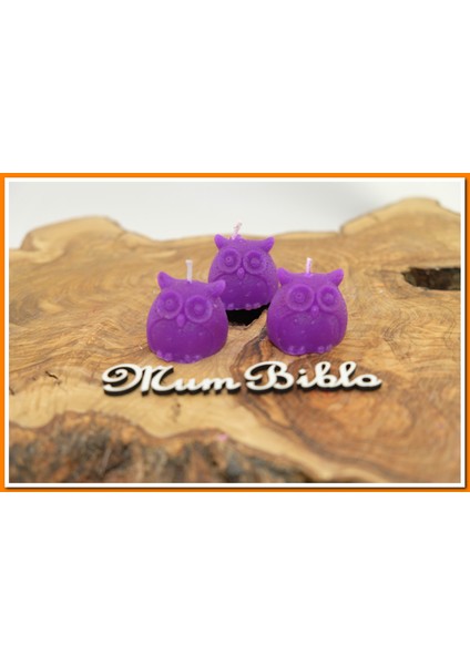 Mum Baykuş Mor