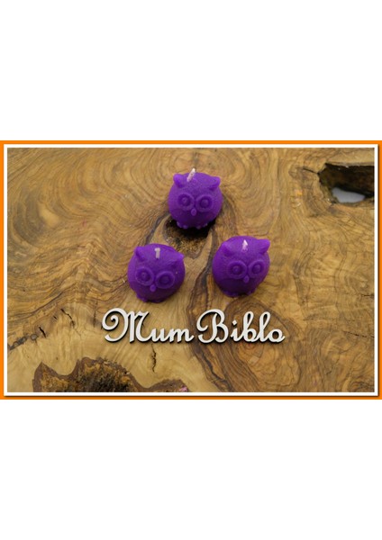 Mum Baykuş Mor