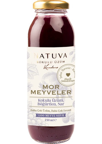 Mor Meyveler % 100 Meyve Suyu 250 ml ( Kokulu Üzüm, Böğürtlen, Nar )