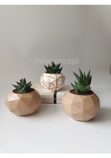 Masaüstü Dekoratif Geometrik Beton Saksı Seti Sütlü Kahve, Beyaz