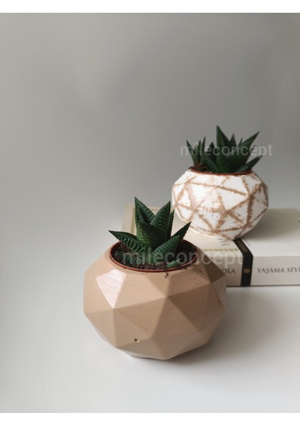 Masaüstü Dekoratif Geometrik Beton Saksı Seti Sütlü Kahve, Beyaz