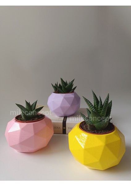 Masaüstü Dekoratif Geometrik Beton Saksı Seti Lila, Pembe, Sarı