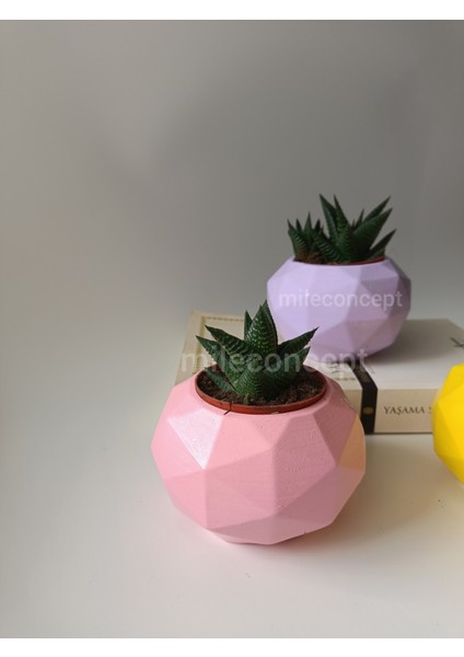 Masaüstü Dekoratif Geometrik Beton Saksı Seti Lila, Pembe, Sarı fiyatları