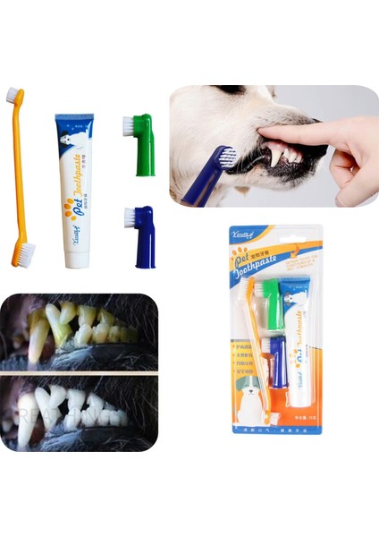 Kedi Köpek Diş Fırçası ve Diş Macunu Seti Yenilebilir Diş Macunu Dental Kit Ağız ve Diş Sağlık Seti