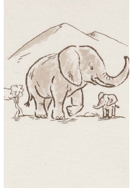 Layette Bebek 3'lü Hırkalı Set fiyatları