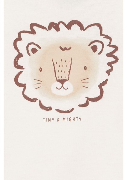 Erkek Bebek Tulum Body Pantolon Set 3'lü Paket fiyatları