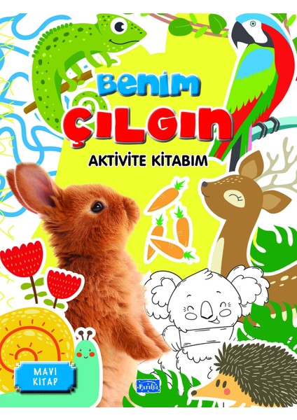 Benim Çılgın Aktivite Kitabım – Mavi Kitap