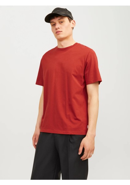 Erkek Jjeorganıc Basıc Tee Ss O-Neck Noos Tshirt-Kiremit