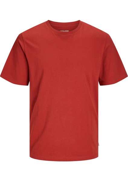 Erkek Jjeorganıc Basıc Tee Ss O-Neck Noos Tshirt-Kiremit modelleri