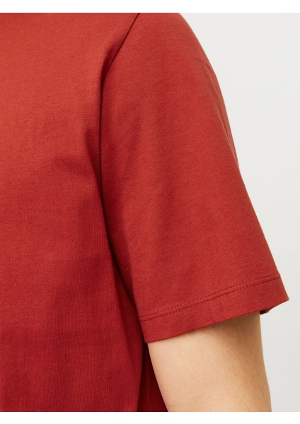 Erkek Jjeorganıc Basıc Tee Ss O-Neck Noos Tshirt-Kiremit indirimleri