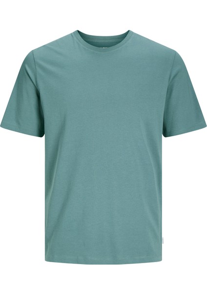 Erkek Jjeorganıc Basıc Tee Ss O-Neck Noos T-Shirt-Mavi modelleri