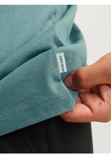 Erkek Jjeorganıc Basıc Tee Ss O-Neck Noos T-Shirt-Mavi indirimleri