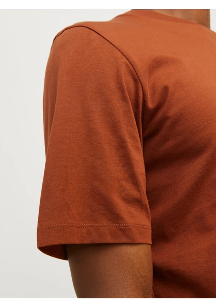 Erkek Jjeorganıc Basıc Tee Ss O-Neck Noos T-Shirt-Tarçın indirimleri