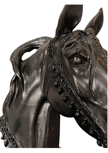 At Kafası fırsatları