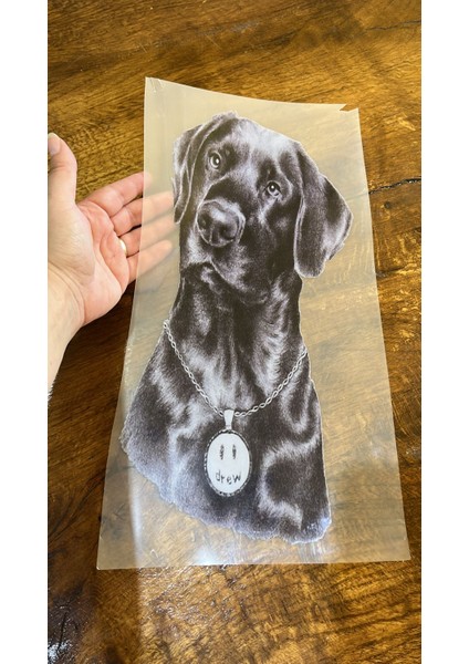 36X17 cm Ütü Ile Yapışan Köpek Transfer Baskı Arma