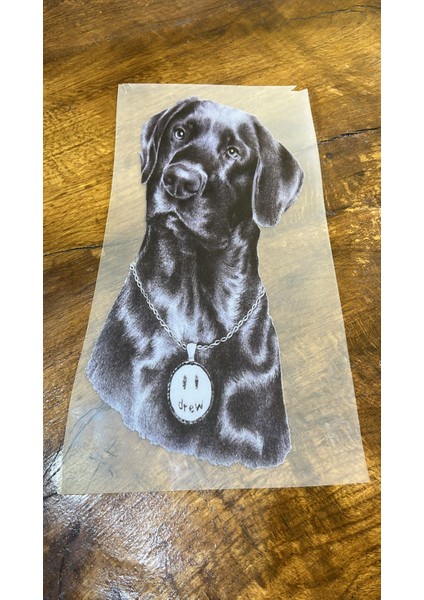36X17 cm Ütü Ile Yapışan Köpek Transfer Baskı Arma fiyatları