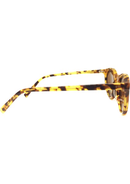 Güneş Gözlük Pt T8002 C2 fiyatları