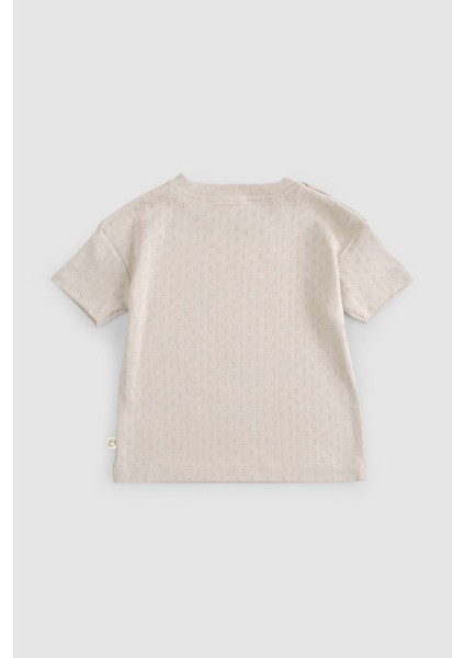 Organik Pamuk Pointel Bebek Bej Şort Takımı indirimleri