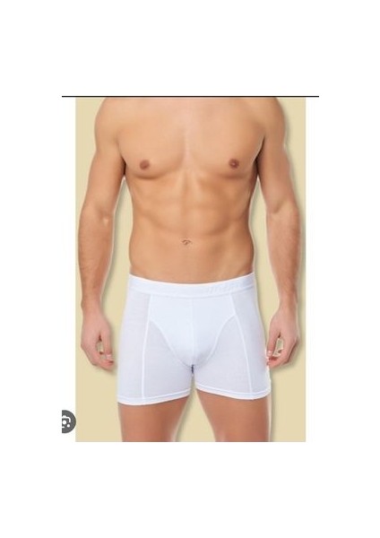 Erkek Boxer 3lü