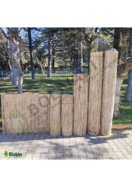 75 Cm X 300 Cm Afyonkarahisardan Misina Ipli Doğal Bambu Kamış Çit Bahçe Çiti Hasır Çit Gölgelik
