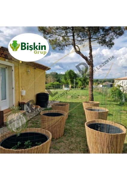 75 Cm X 300 Cm Afyonkarahisardan Misina Ipli Doğal Bambu Kamış Çit Bahçe Çiti Hasır Çit Gölgelik
