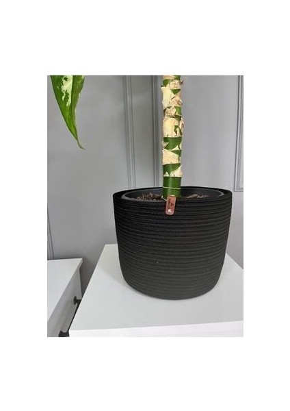 Hasır Saksılık, Çok Amaçlı Hasır Sepet, Bahçe Düzenleyici modelleri