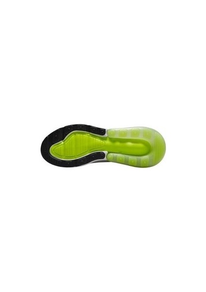 Air Max 270 Kadın Spor Ayakkabı AH6789-108