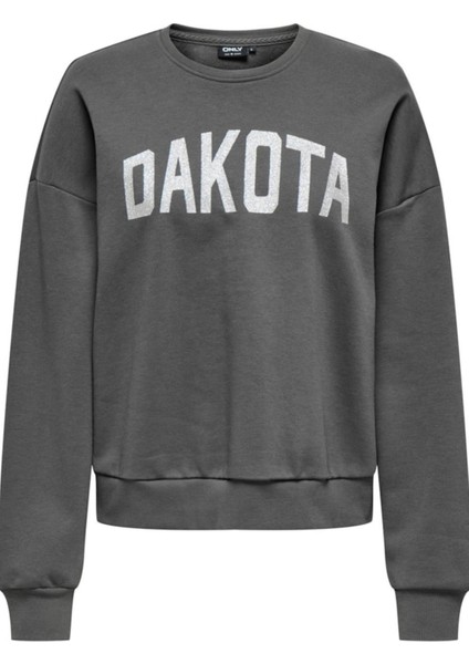 Onljolana L/s Glıtter O-Neck Swt Gri 15304729