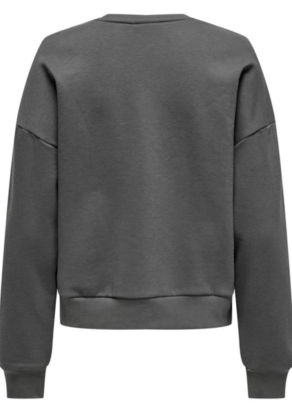 Onljolana L/s Glıtter O-Neck Swt Gri 15304729 fiyatları
