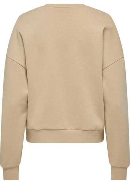 Onljolana L/s Glıtter O-Neck Swt BEJ15304729