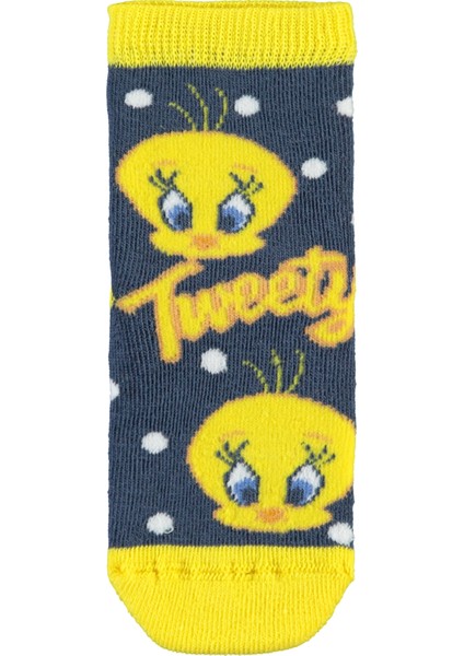 Kız Çocuk 2'li Çorap 2-12 Yaş Pembe