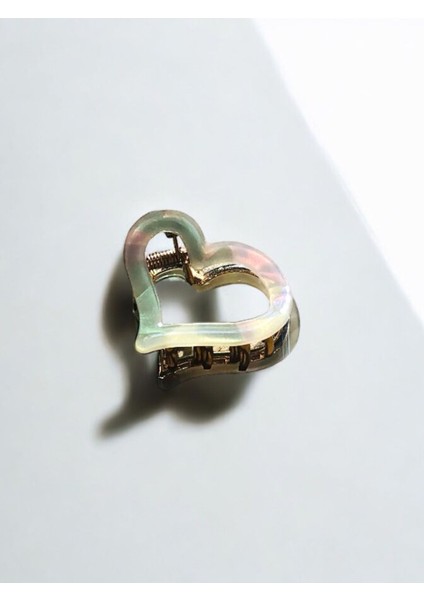 Kadın Minik Altın Detaylı 4 cm Kemik Mandal Toka fiyatları