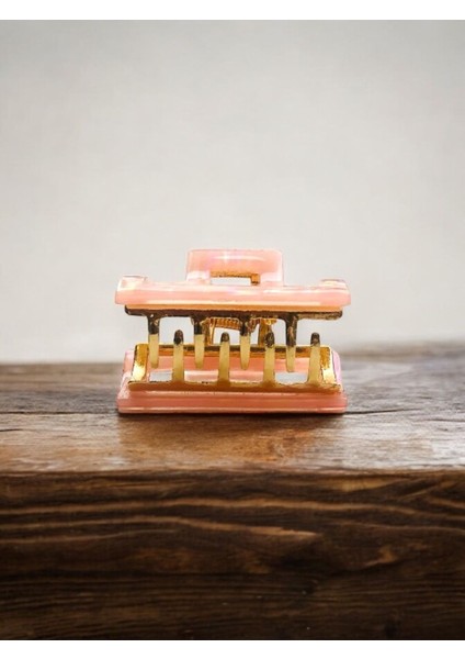 Kadın Minik Altın Detaylı 4 cm Kemik Mandal Toka fiyatları