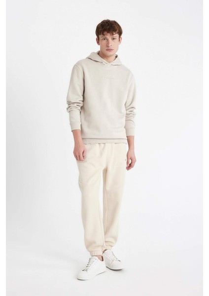 Regular Fit Kapüşonlu Baskılı Sweatshirt C6131AX24AU