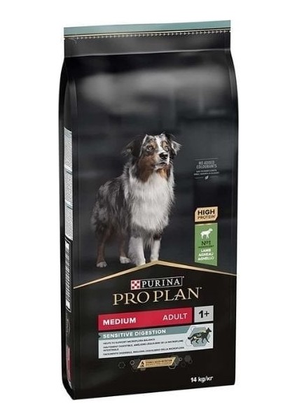 Adult Kuzu Etli Yetişkin Köpek Maması 14 kg